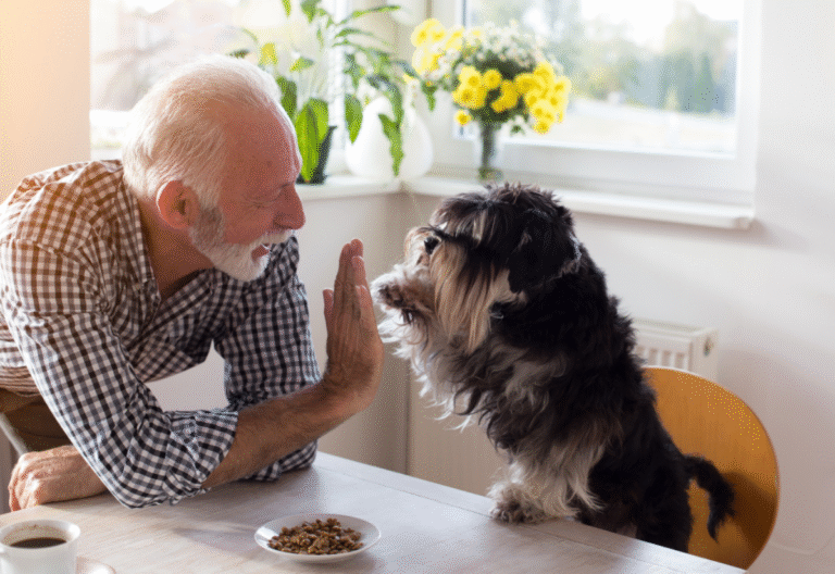 Owner helping senior dog with arthritis do at-home physical therapy exercises