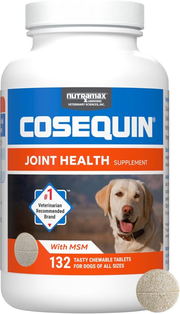 Glucosamine and chondroitin: Support cartilage health and joint function