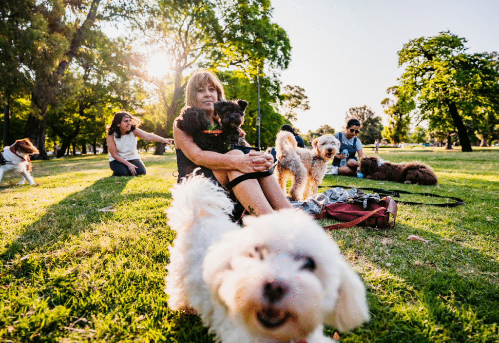 community offering support network for senior dog parents