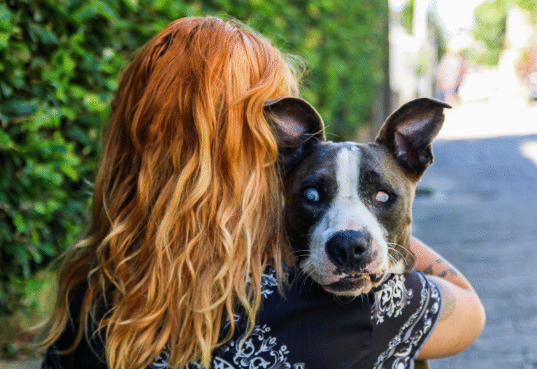 woman holding a senior blind dog