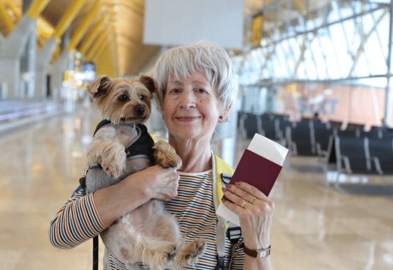Senior dog travel, preparing for flying